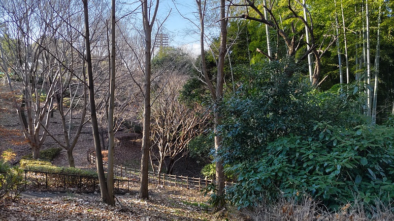 今川公園 横浜市旭区今川町今川公園