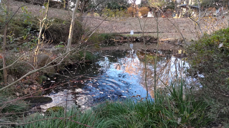 親水広場 横浜市旭区今川町今川公園