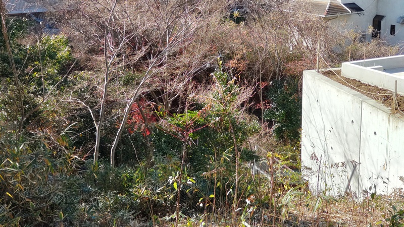 白根神社 横浜市旭区白根不動
