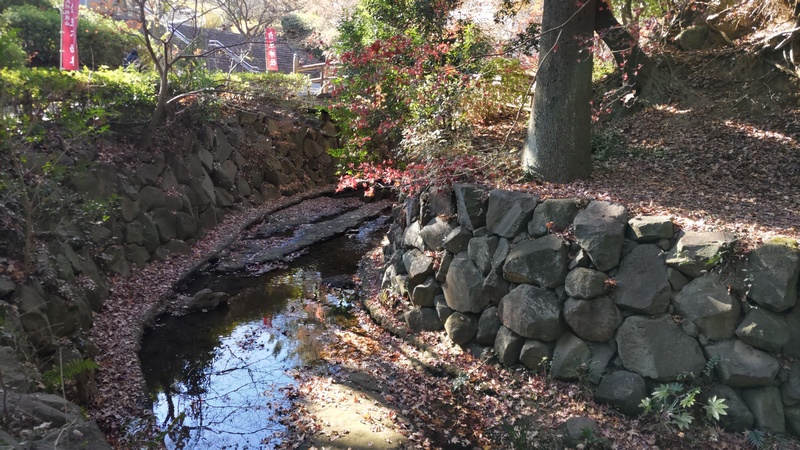 中堀川 横浜市旭区白根不動