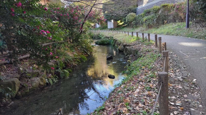 帷子川親水緑道 横浜市旭区帷子川親水緑道