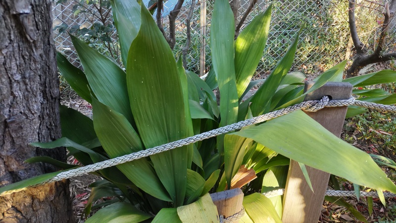 ハラン 東京都大田区平和島公園