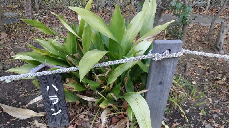 ハランの名札 東京都大田区平和島公園