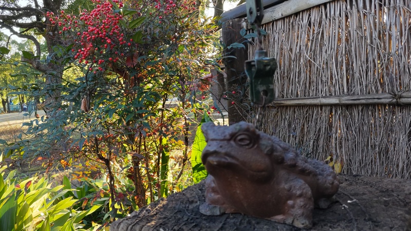 ナンテン、ハラン 東京都大田区平和島公園