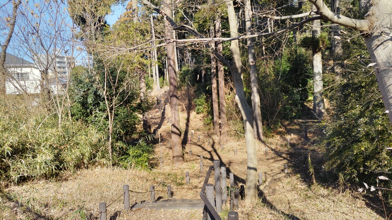 風景 横浜市旭区柏町柏町市民の森