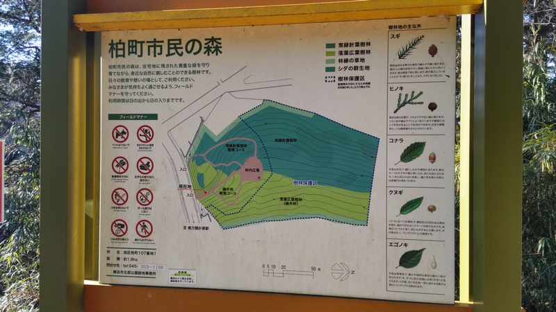 案内図 横浜市旭区柏町柏町市民の森