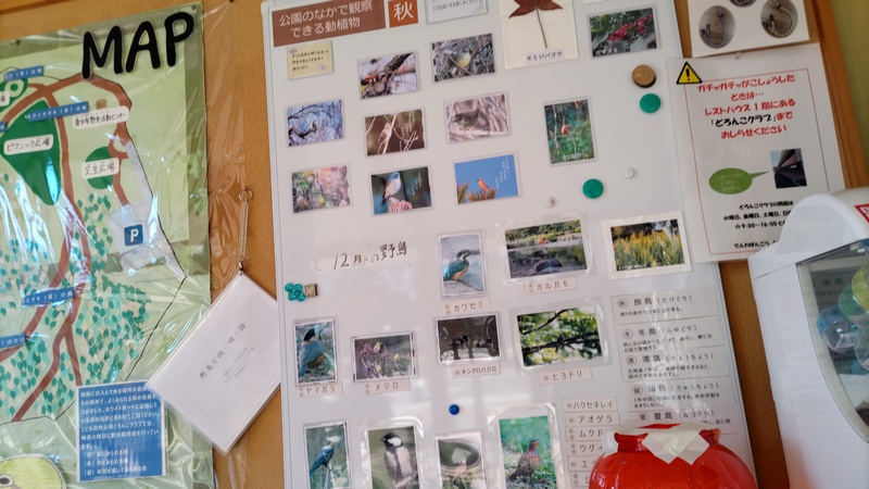 写真展示 横浜市旭区大池町こども自然公園