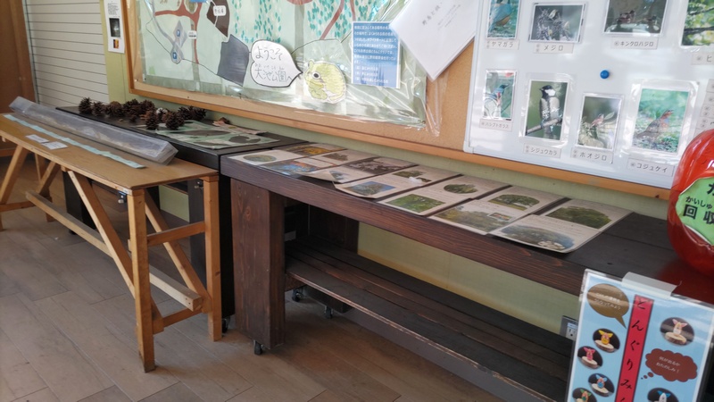 写真展示 横浜市旭区大池町こども自然公園