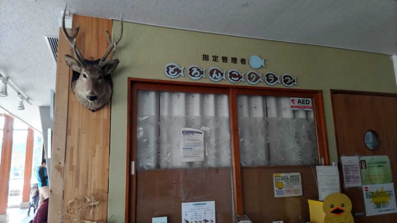 鹿のハンティングトロフィー 横浜市旭区大池町こども自然公園