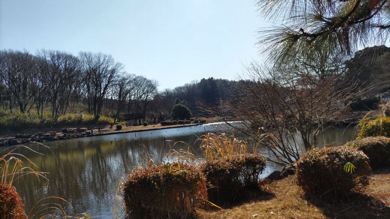 大池 横浜市旭区大池町こども自然公園