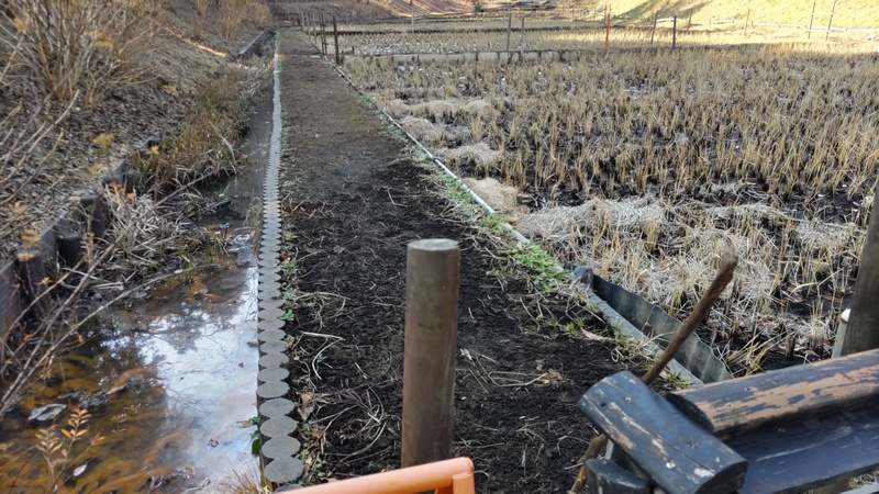 田んぼ 横浜市旭区大池町こども自然公園