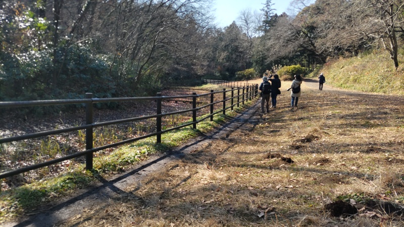 ゲンジボタル生息地 横浜市旭区大池町こども自然公園