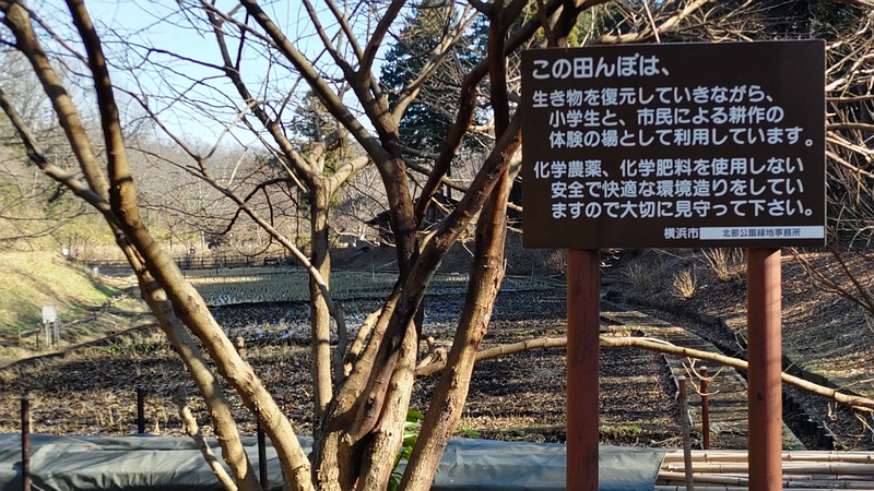 田んぼ 横浜市旭区大池町こども自然公園