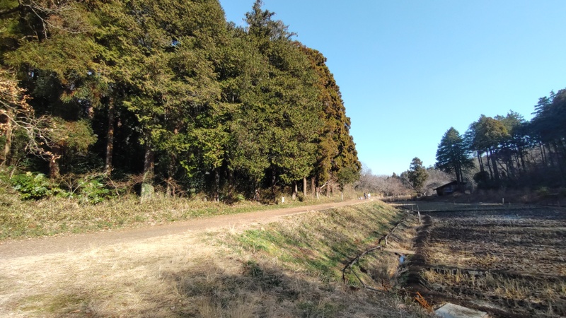 田んぼ 横浜市旭区大池町こども自然公園