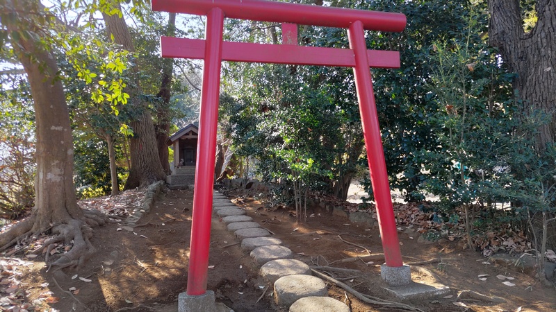 弁財天のフェイジョア 横浜市旭区大池町こども自然公園