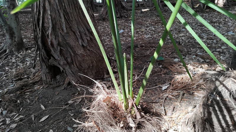 トウジュロ 東京都大田区平和島