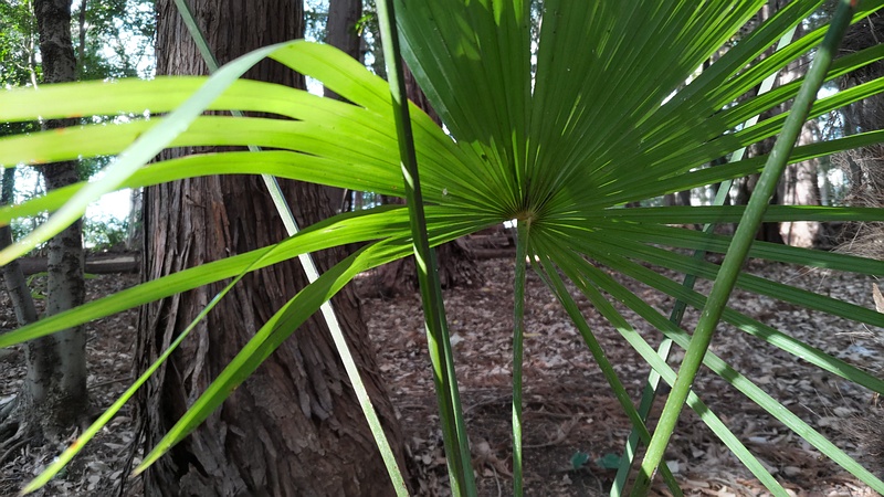 トウジュロ 横浜市瀬谷区長屋門公園