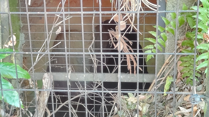横井戸 横浜市瀬谷区長屋門公園