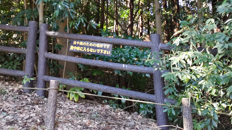 保護区 横浜市旭区希望が丘水の森公園