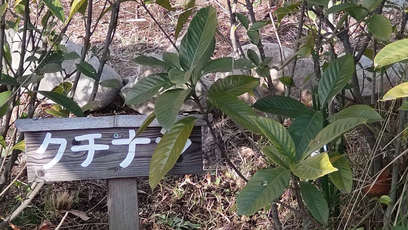 クチナシの名札 東京都大田区平和島公園