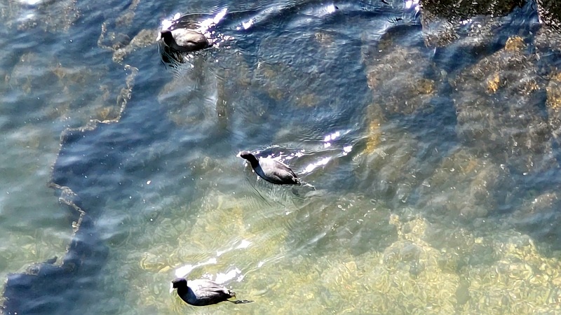 オオバン 東京都大田区大和大橋