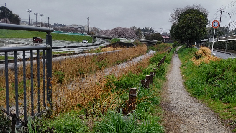和泉川 横浜市泉区和泉町