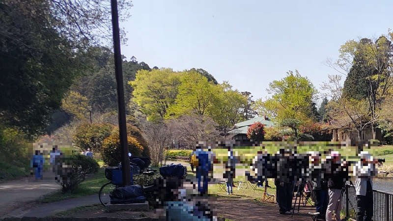 野鳥撮影者たち 横浜市旭区大池町こども自然公園