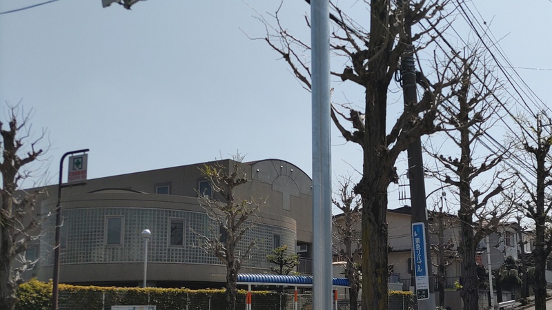 イチョウ 横浜市旭区中沢町