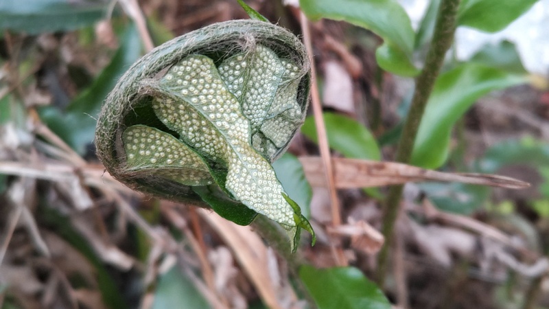イノデ 横浜市旭区中希望が丘