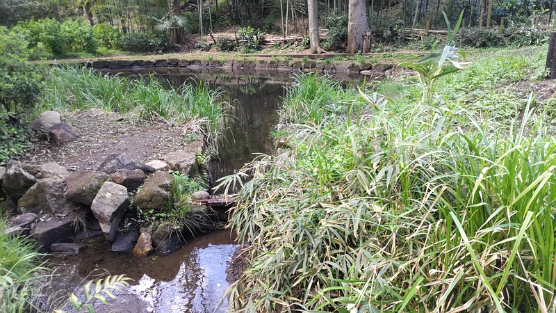 池 横浜市瀬谷区長屋門公園