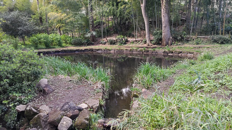 池 横浜市瀬谷区長屋門公園