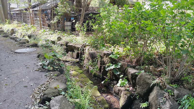 小川 横浜市瀬谷区長屋門公園