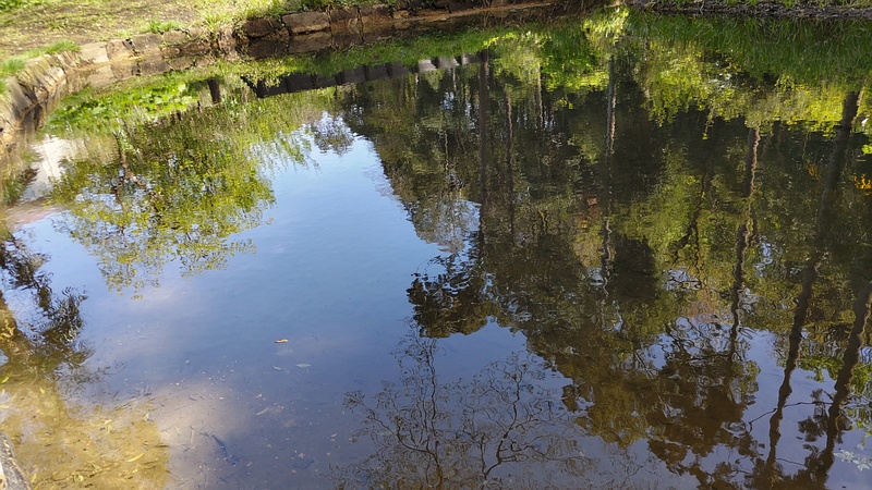 池 横浜市瀬谷区長屋門公園