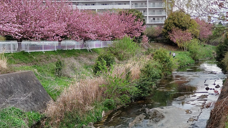 カンザン 横浜市旭区今宿東町
