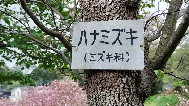 ハナミズキの名札 横浜市旭区鶴ヶ峰本町
