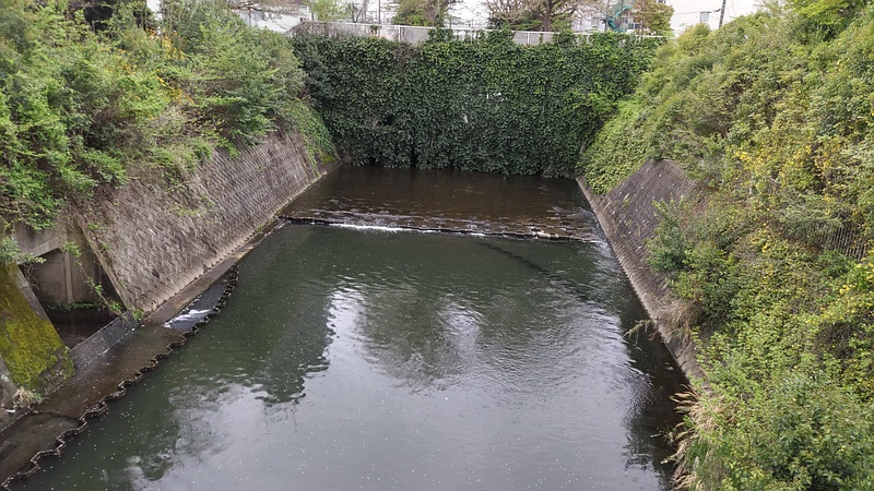 帷子川 横浜市旭区鶴ヶ峰