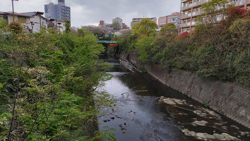 帷子川 横浜市旭区鶴ヶ峰