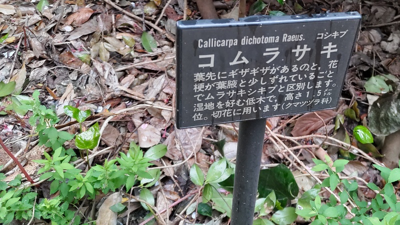 コムラサキの名札 横浜市旭区鶴ヶ峰
