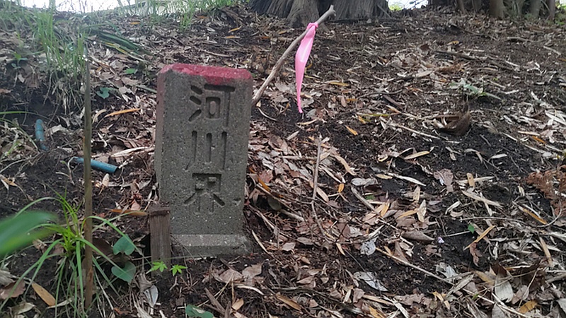河川界 横浜市旭区帷子川親水緑道