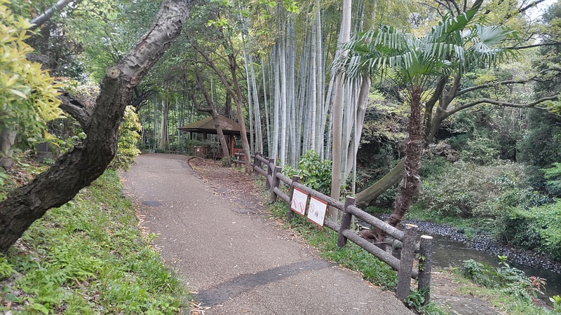 帷子川親水緑道 横浜市旭区帷子川親水緑道