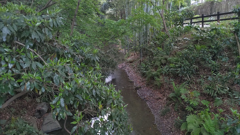 帷子川親水緑道 横浜市旭区帷子川親水緑道