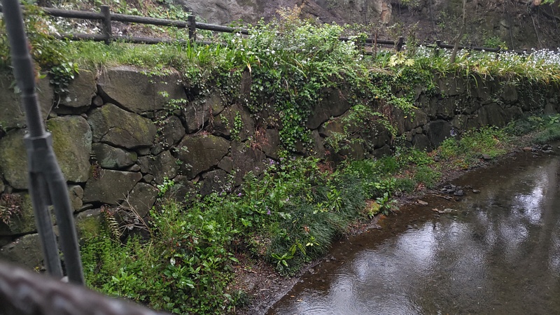 帷子川親水緑道 横浜市旭区帷子川親水緑道