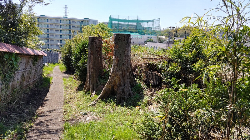 山田稲荷 横浜市旭区東希望が丘