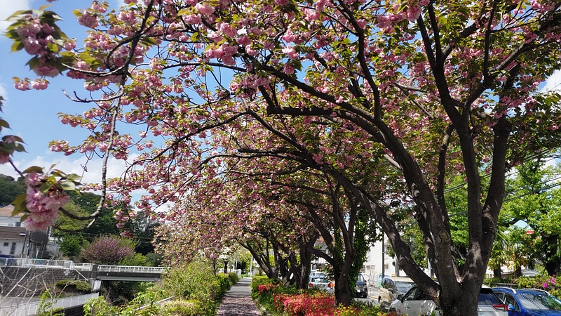 カンザン 横浜市旭区今宿東町