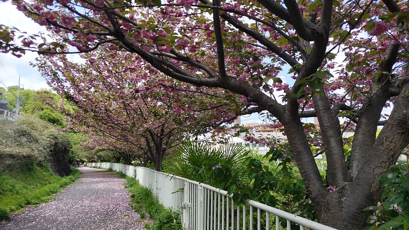 カンザン 横浜市旭区今宿南町