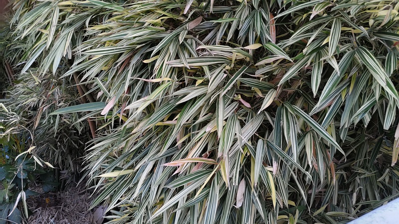 トウチク 横浜市旭区今宿南町