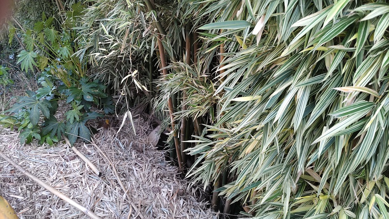 トウチク 横浜市旭区今宿南町