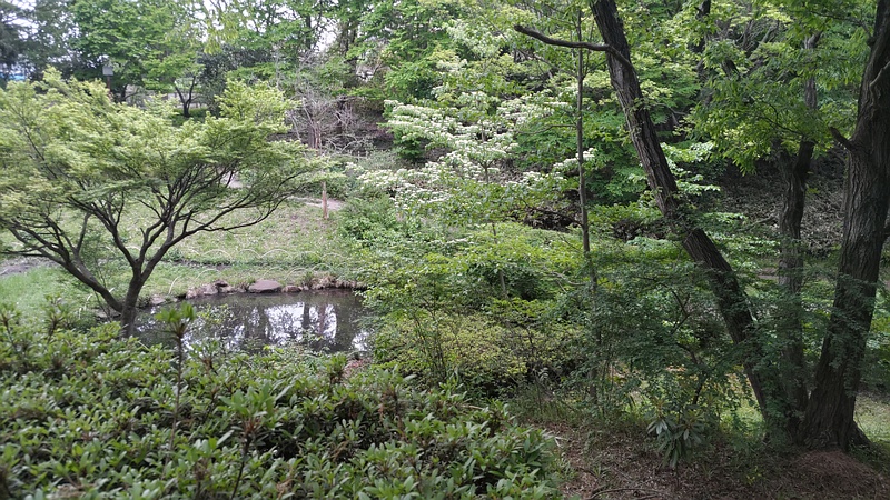 今川公園 横浜市旭区今川町今川公園