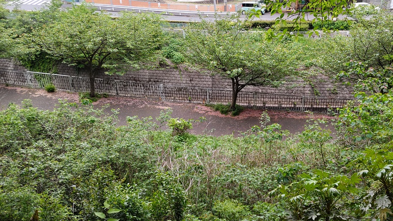 遊歩道 横浜市旭区今宿南町