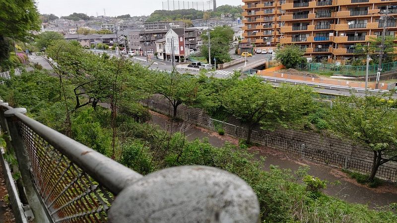 遊歩道 横浜市旭区今宿南町